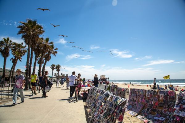 Things To Do In San Diego CA